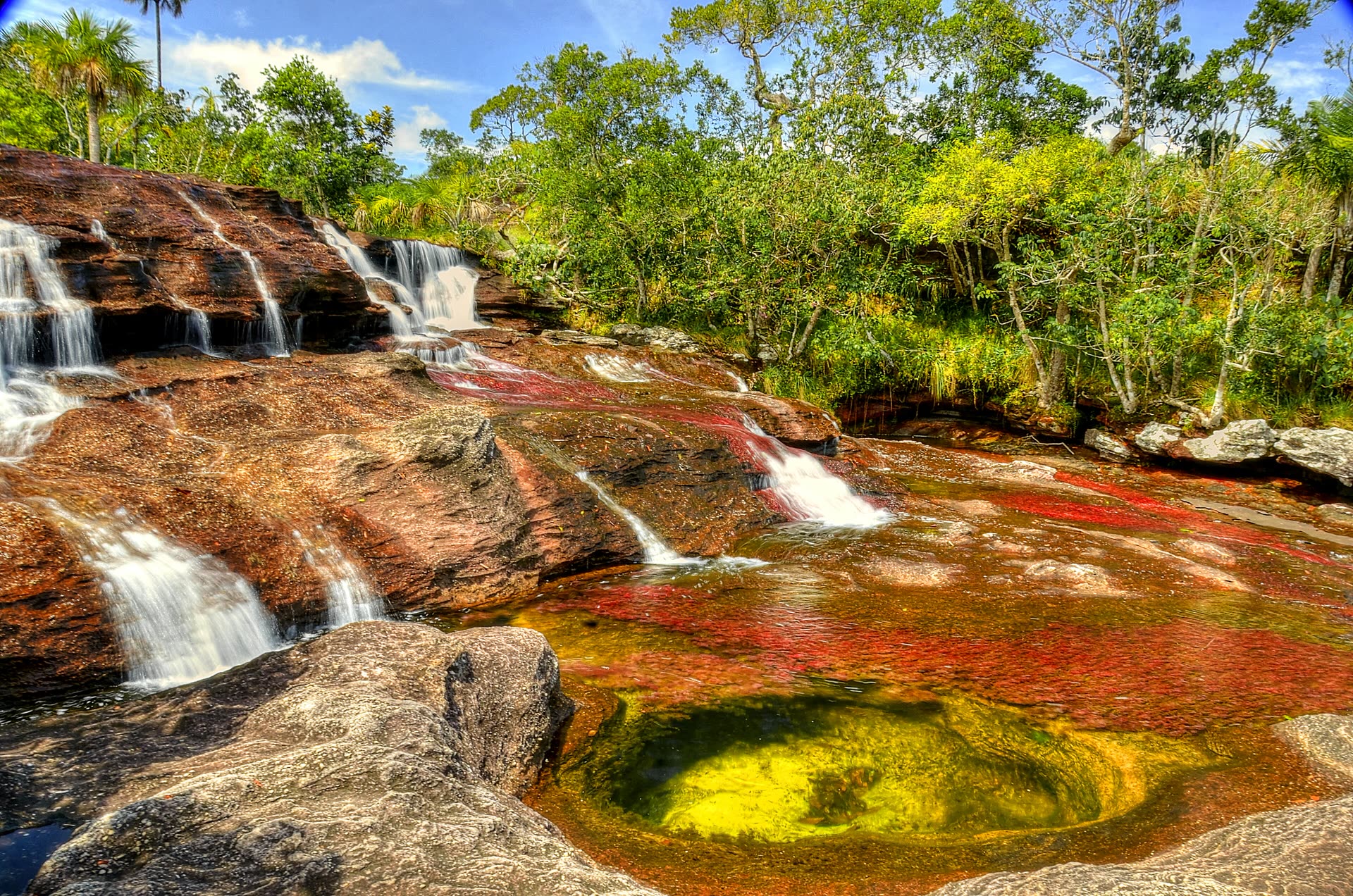 Caño Cristales